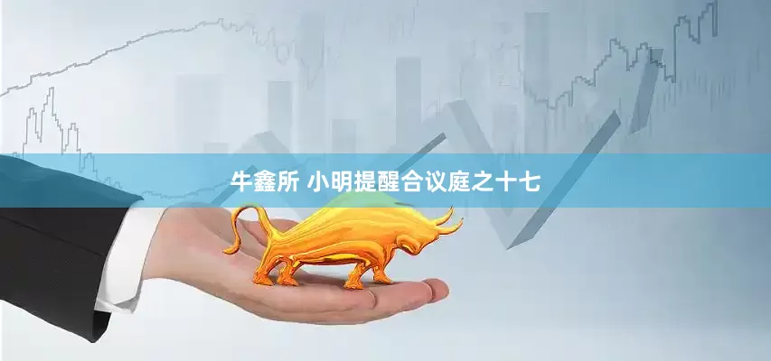 牛鑫所 小明提醒合议庭之十七