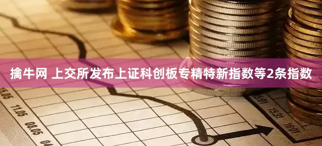 擒牛网 上交所发布上证科创板专精特新指数等2条指数